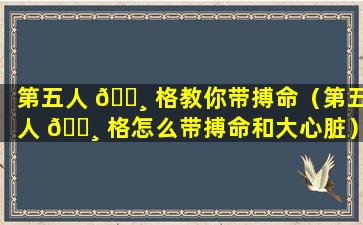 第五人 🕸 格教你带搏命（第五人 🕸 格怎么带搏命和大心脏）